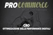 Cro Conversion Rate Optimization by PROcommerce