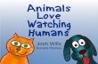 Animals Love Watching Humans