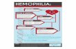 Hemophilia Infographic
