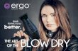 ERGO Art of the Blow Dry