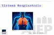 Clase 7 sist respiratorio