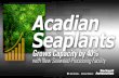 Acadian Seaplants Grows Capacity by 40% With New Seaweed-Processing Facility