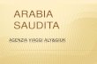 Arabia Saudita - Agenzia viaggi Aly&Giuk