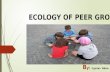 ECOLOGY OF PEER GROUP