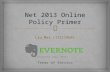 Net 2013 online policy primer