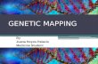 Genetic mapping Plegable