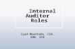 Internal Auditor Roles