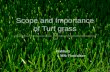 Scope and importance of turf grass