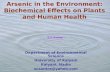 Effect of arsenic in environment, plant humans
