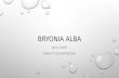 Bryonia alba and rhus tox