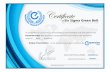GreenBelt_Certificate (sanjay vishwanathan)