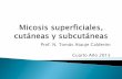 Micosis superficiales, cutáneas y subcutáneas