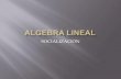 Algebra lineal pre