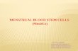 Menstrual Blood stem cells