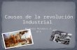 Causas de la revolución industrial