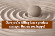 Sure you're killing it as a product manager but are you happy (ProductCamp Boston 2016)
