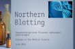 Northern blotting