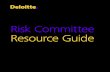 Deloitte risk committee guidance
