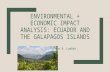 Environmental + Economic Impact Analysis