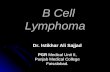 B cell lymphoma