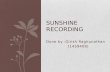 Sunshine recorder