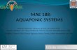 MAE 188 - Design In Industry - Aquaponic System