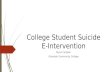 College Student Suicide E-Intervention