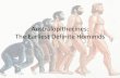 The Australopithecines- Anthropology