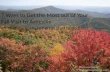 7 Ways to Get the Most out of Your Fall Visit to Asheville