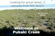 Pukaki creek property 4 sale