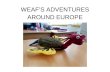 Weaf's adventures around Europe
