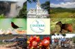 Guyana - a short description