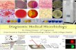 Diagnostic Medical Microbiology - Traditional and Modern approach
