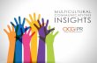 OCG PR Multicultural Communications Insights