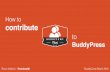 WordCamp Miami 2016: How to contribute to BuddyPress - Rocío Valdivia