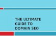 The Ultimate Guide to Domain SEO