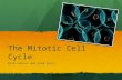 AS Level Biology - 5/6) Mitotic Cell Cycle and Protein Synthesis
