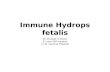 Immune hydrops