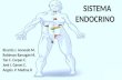 Biquimica del sistema endocrino
