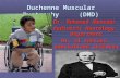 (DMD)Duchenne muscular dystrophy-dr mohamed abunada
