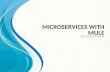 Microservices with mule