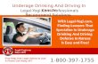 Parents of Teens Facing Underage Drinking and Driving Charges in Kansas Are Provided Free Legal Advice by the Professionals at Legal-Yogi.com