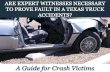 Are Expert Witnesses Necessary to Prove Fault In a Texas Truck Accidents: A Guide for Crash Victims