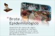 Brote epidemiologico
