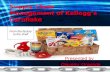 Supply chain management of kellogg’s cornflake presentation