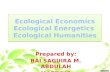 Abdulah eco report (ecological econ, human)