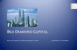 Blu Diamond Capital Properties Profile 2016