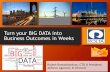 Turning big data to business outcomes