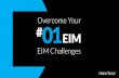 Overcome Your 99 Enterprise Information Management Challenges