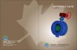 CWT Butterfly Valve